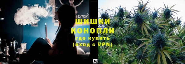 винт Белокуриха