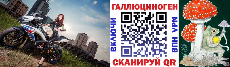 наркотики  Волжск  Псилоцибиновые грибы Cubensis 