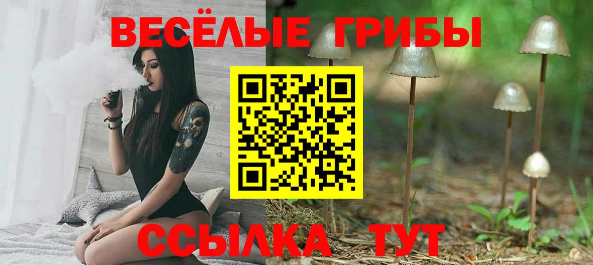 Галлюциногенные грибы GOLDEN TEACHER Волжск