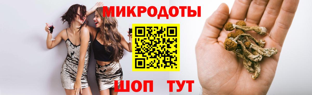 Волжск  Псилоцибиновые грибы Psilocybe  Вход с VPN  Псилоцибиновые грибы мухоморы 